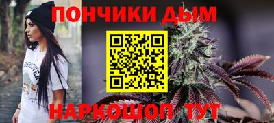 дмт Аргун