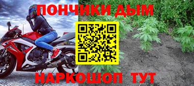 дмт Аргун