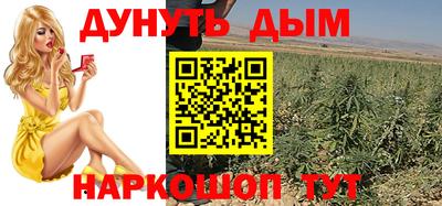 дмт Аргун