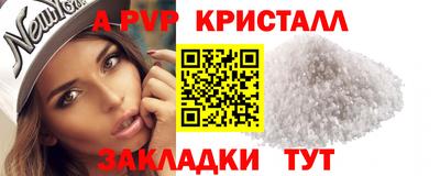 дмт Аргун
