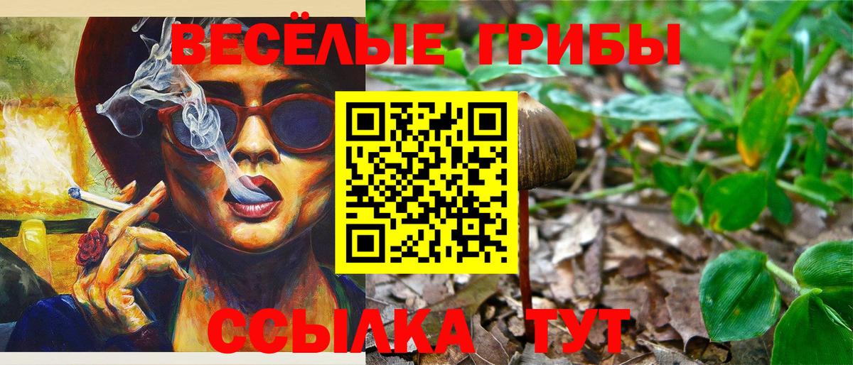 Галлюциногенные грибы мухоморы  Галлюциногенные грибы Magic Shrooms  Борзя  Вход с VPN 